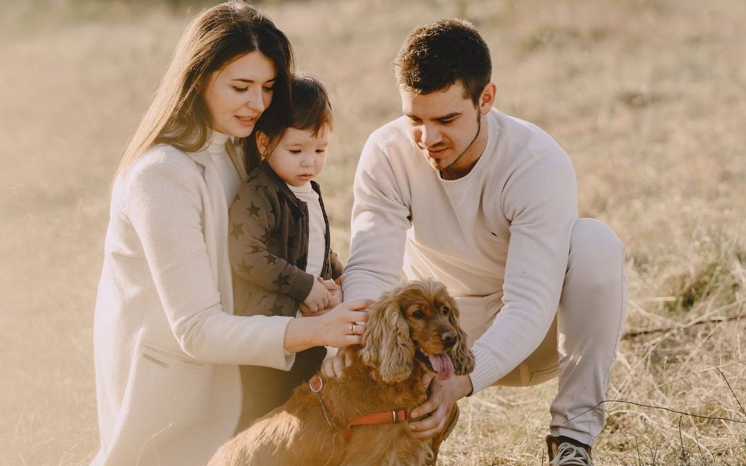 How Pets Improve Our Mental Health—And Why We Need Them as Much as They Need Us
