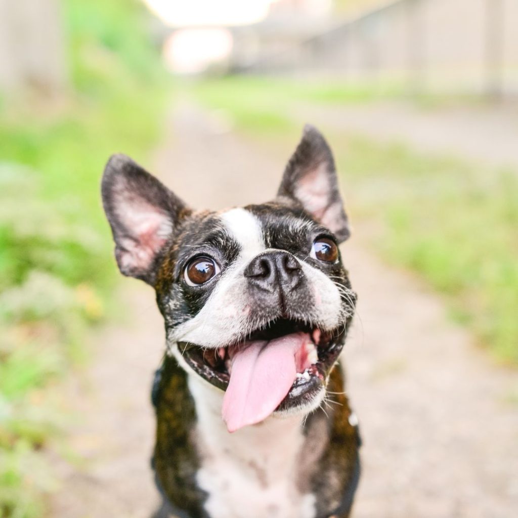 Home Care for Added Peace of Mind