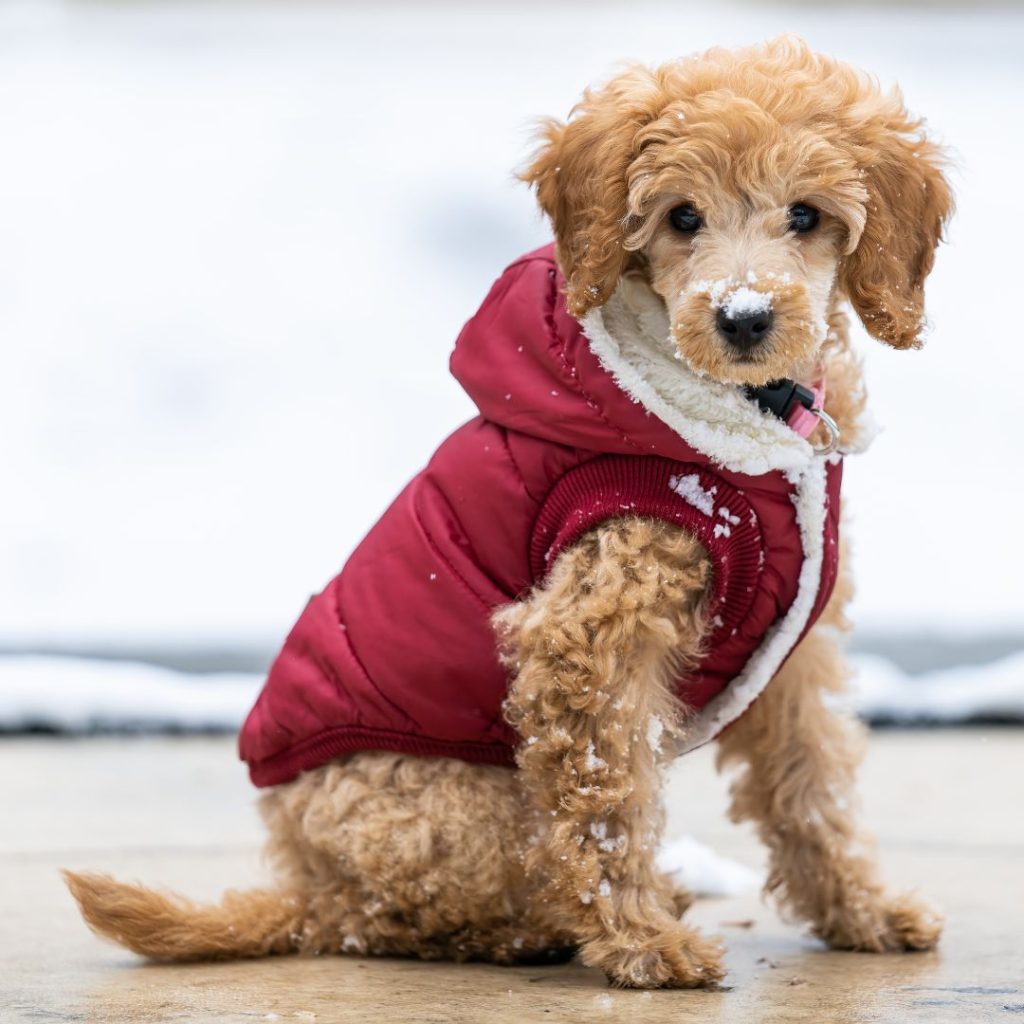 Nutrition and Hydration