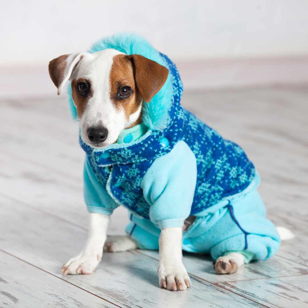 Why Local Owners Trust Us