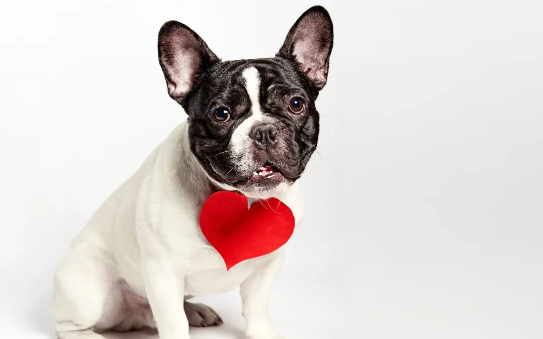 Why February is the "Magic Month" for Spring Break Planning