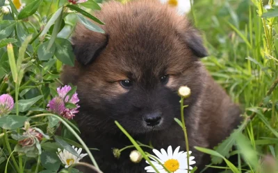 The “Spring Forward” Survival Guide