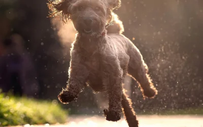 Navigating the New England Spring Thaw