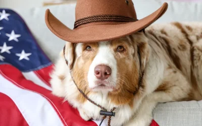 The “Boom” Factor: Comprehensive Strategies for Protecting Your Pet’s Mental Wellbeing During July Fireworks